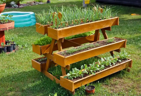 Taman sayur dengan kotak-kotak kayu